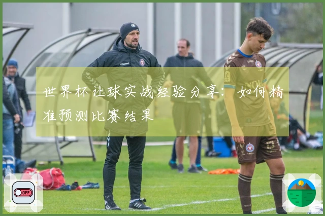 世界杯让球实战经验分享：如何精准预测比赛结果