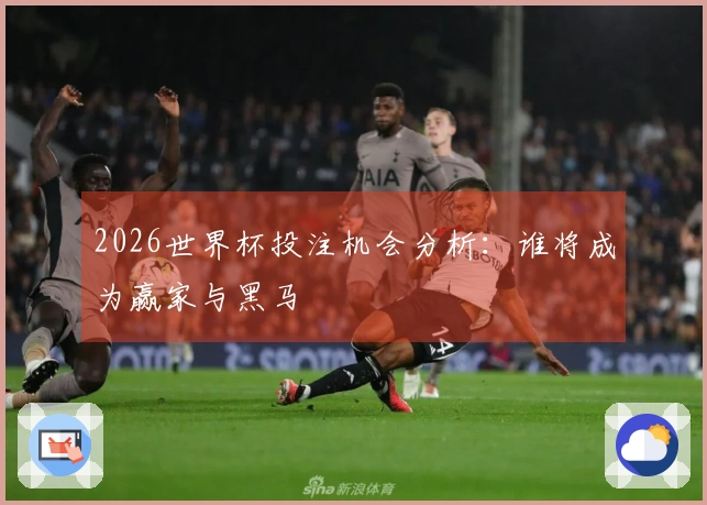 2026世界杯投注机会分析：谁将成为赢家与黑马